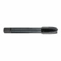 Sheartap Spiral Point Tap, Series 2090, Imperial, UNC, 5811, Plug Chamfer, 4 Flutes, HSS, Black Steam Oxid 34440